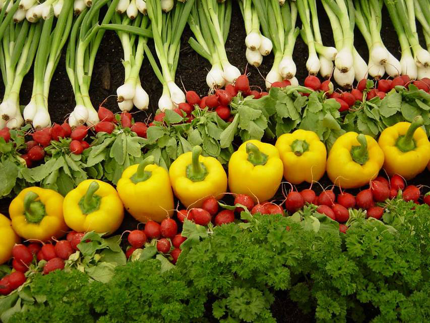 Congress’s Conference Report Solidifies Farm Bill Support for Major Food Waste Reduction Measures