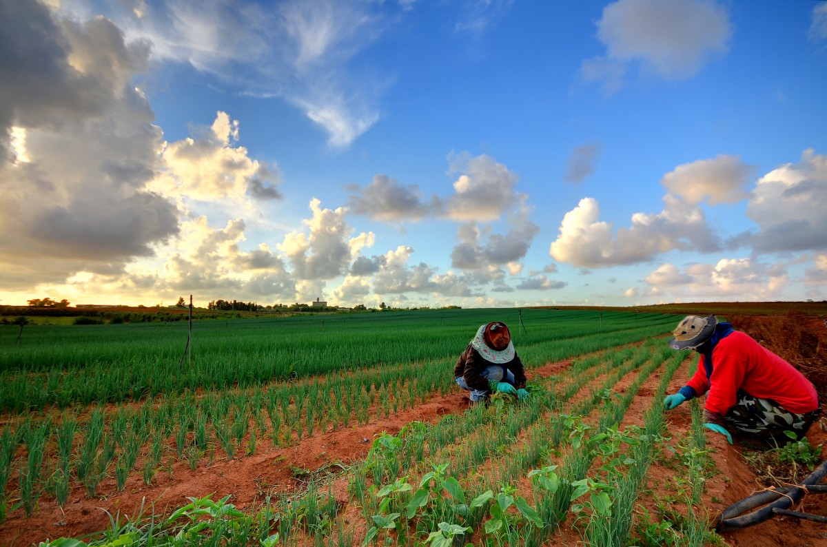 The Farm Workforce Modernization Act Proposal