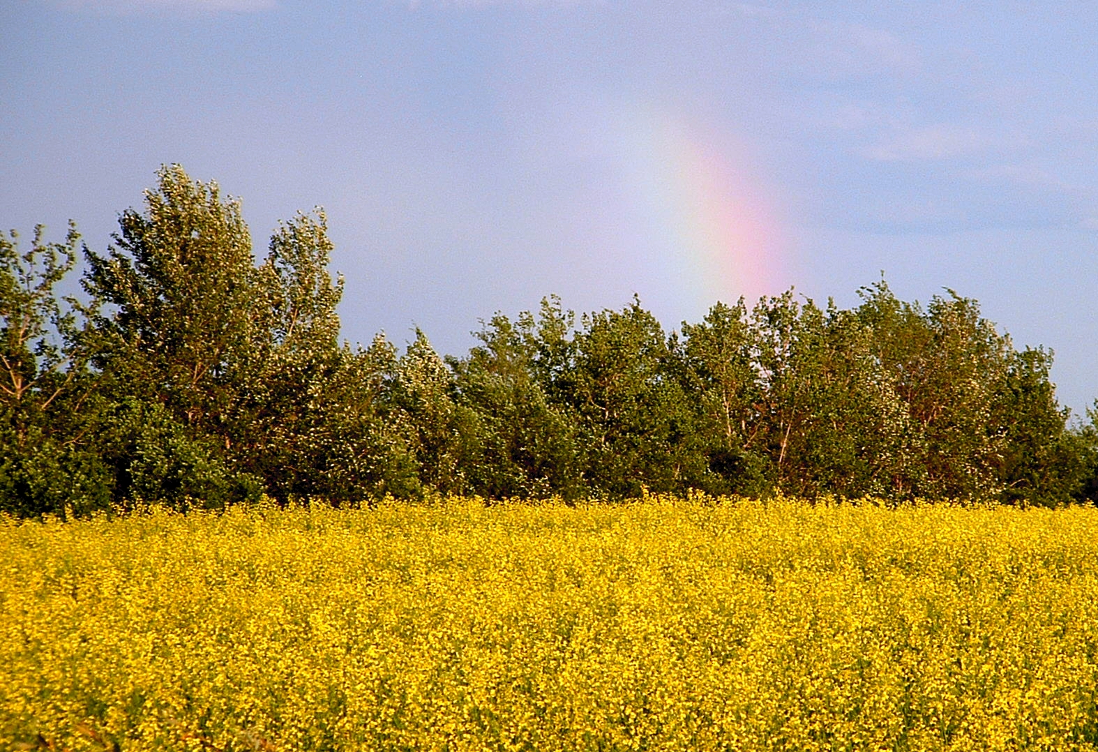 House SCCC Report Includes Major Agriculture Policy and Food Waste Reduction Recommendations