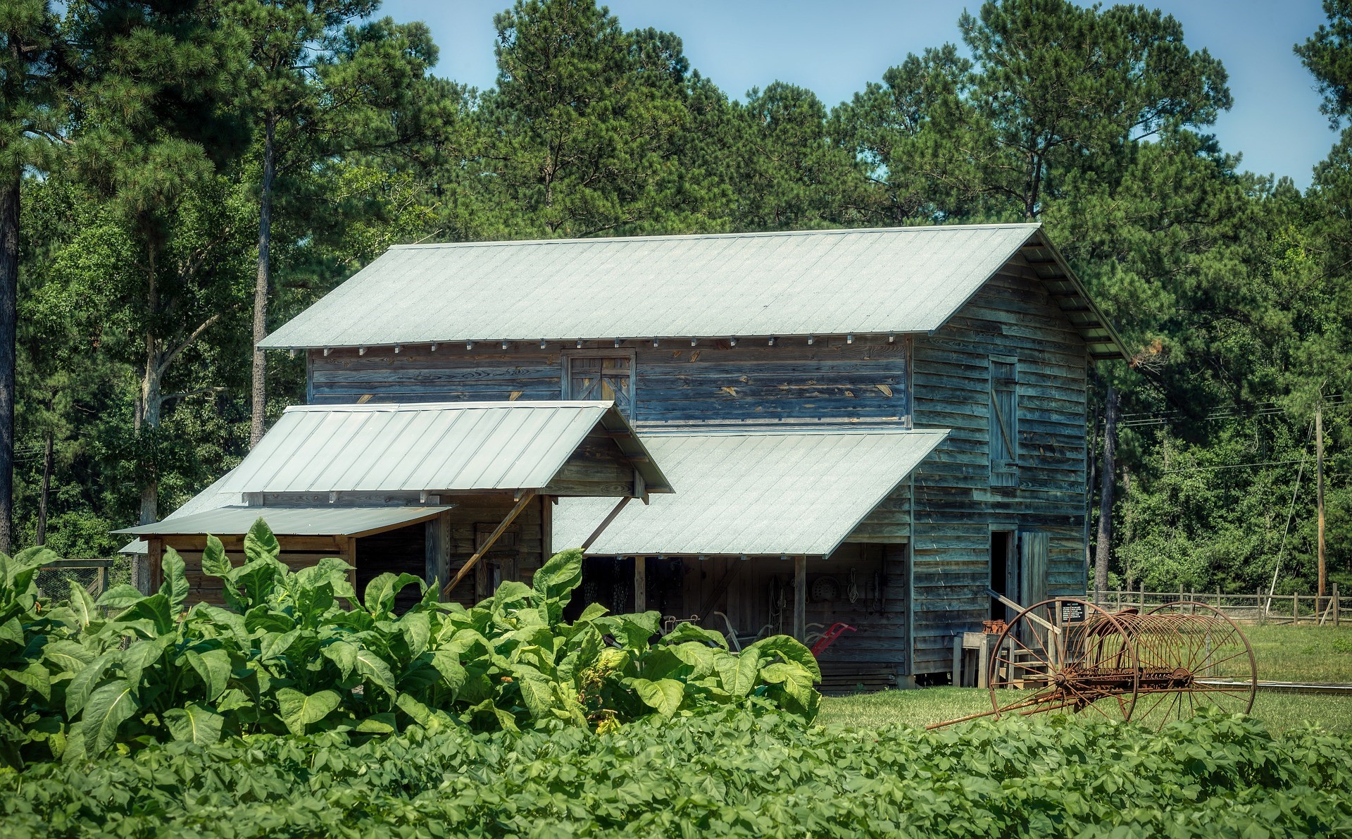 As Federal Government Fails to Move on Heirs’ Property, States and Local Advocates Step In