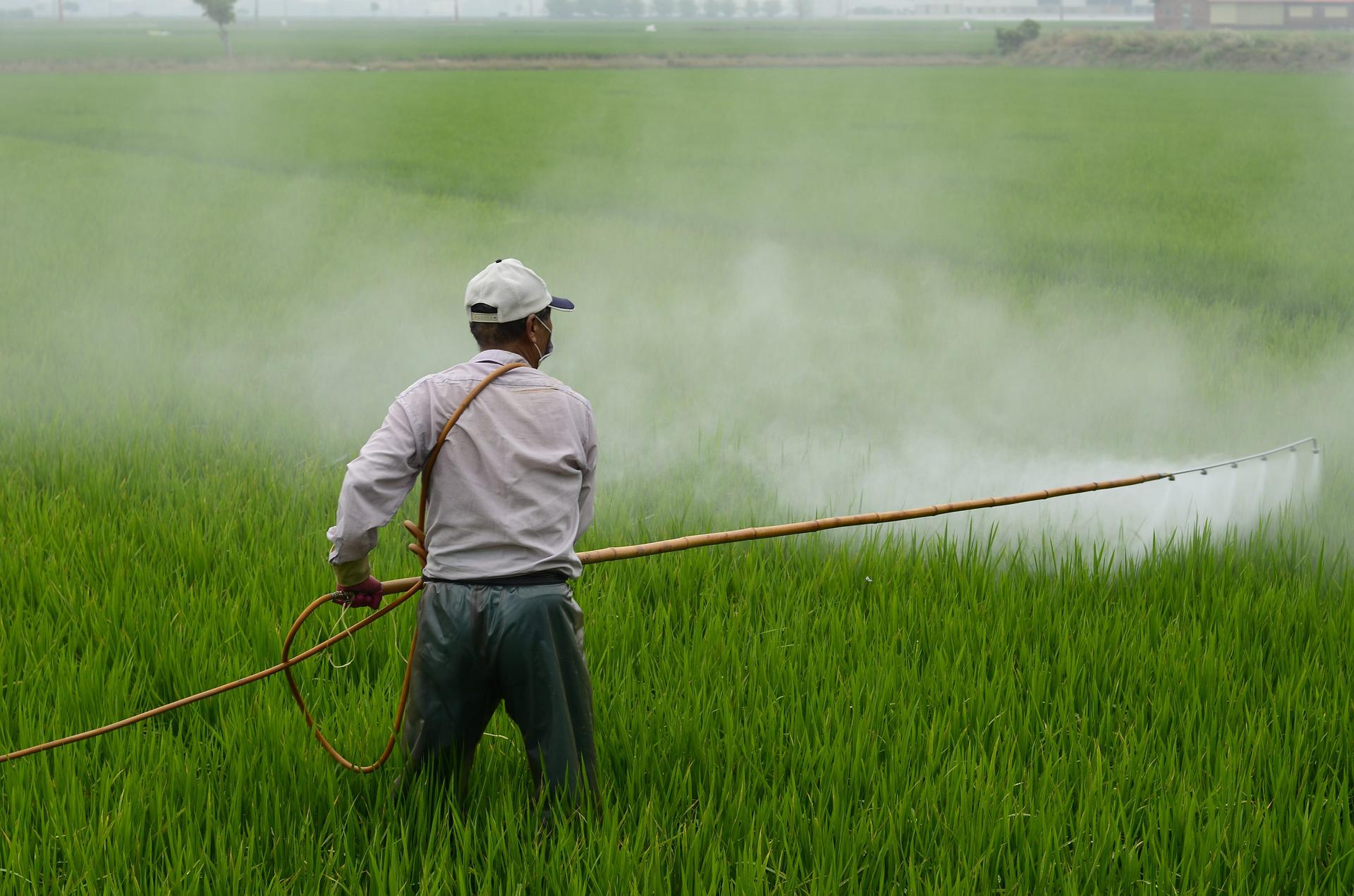 Protecting Farmworkers and Their Families: Pesticide Exposure and Childhood Asthma