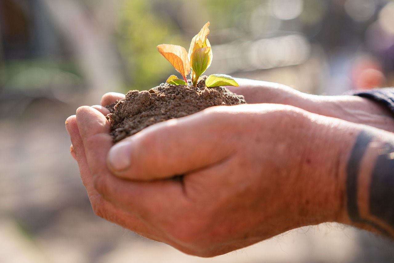 Carbon Sequestration and the Farm Bill: Farming with Climate Resilience in Mind