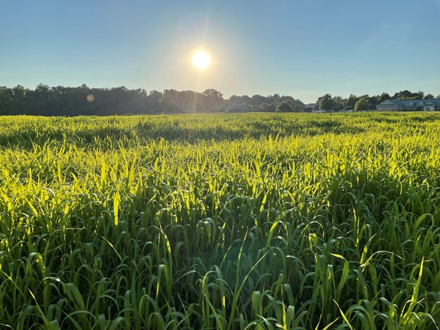 Maximizing the Impact of the Working Lands Programs for Climate Change Mitigation and Equity