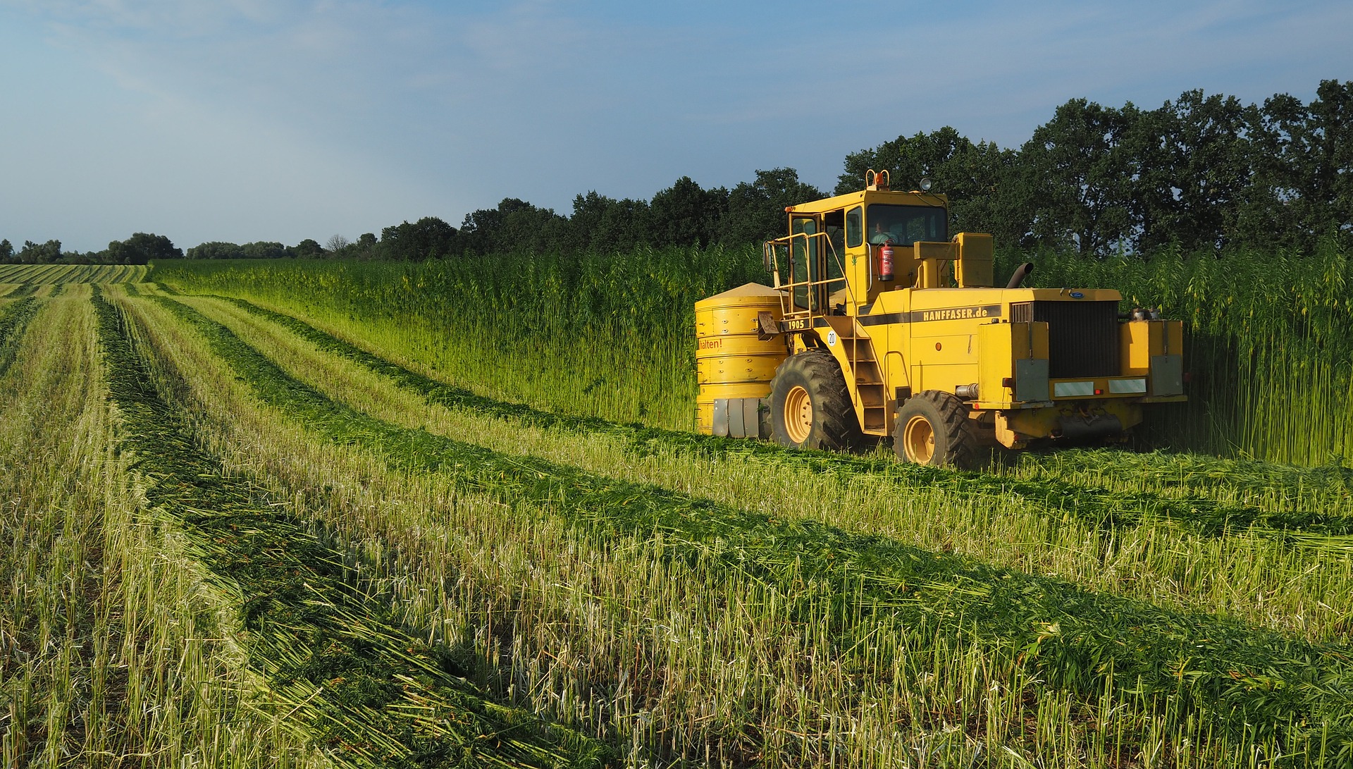 Recent House Farm Bill Hearing on the USDA Hemp Production Program