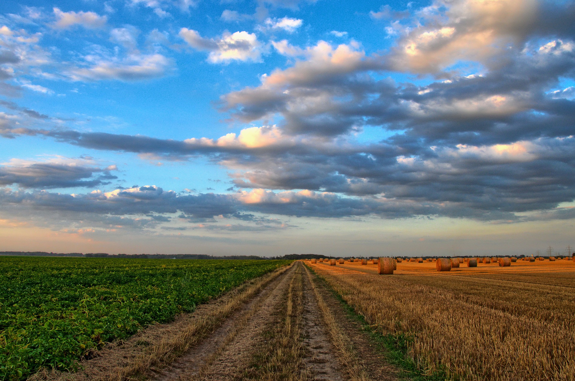 The Call to Abolish the Farm Service Agency County Committees