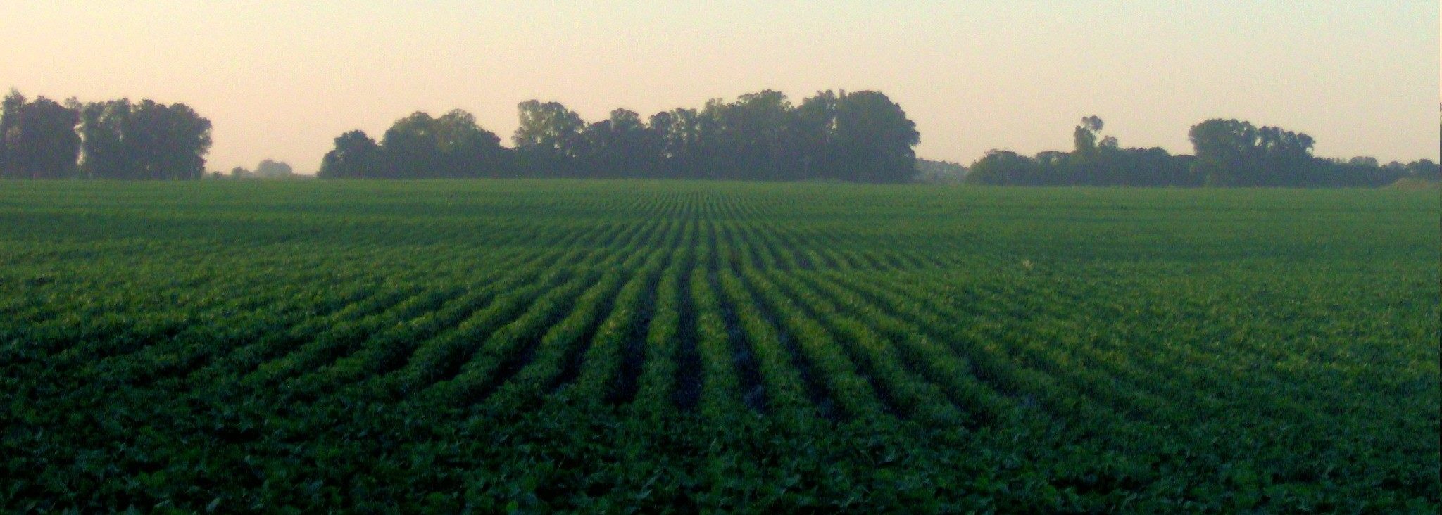 WPS: Reforming the Application Exclusion Zone (AEZ) to Protect Farmworkers From Pesticide Exposure