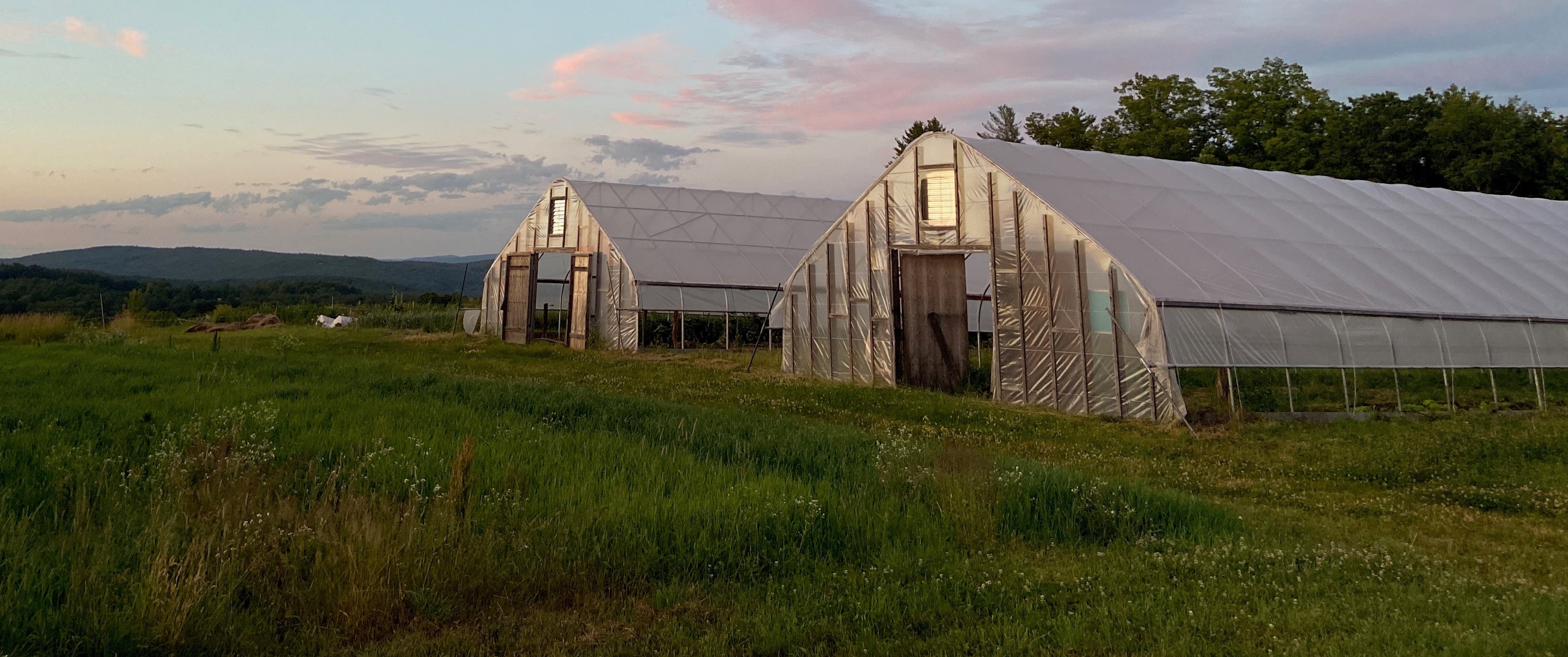 USDA Can Promote Equity In Our Food System Through Worker-Owned Cooperatives In The Next Farm Bill