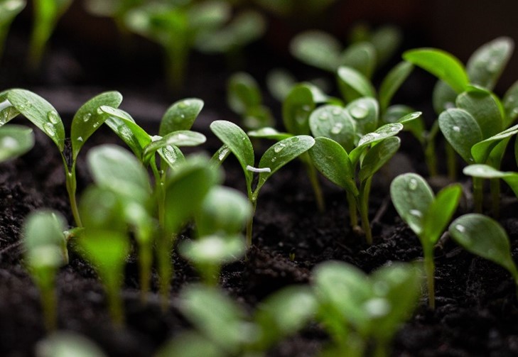 Overview of Conservation Practices from Farms to Forests and Wetlands Farm Bill Briefing