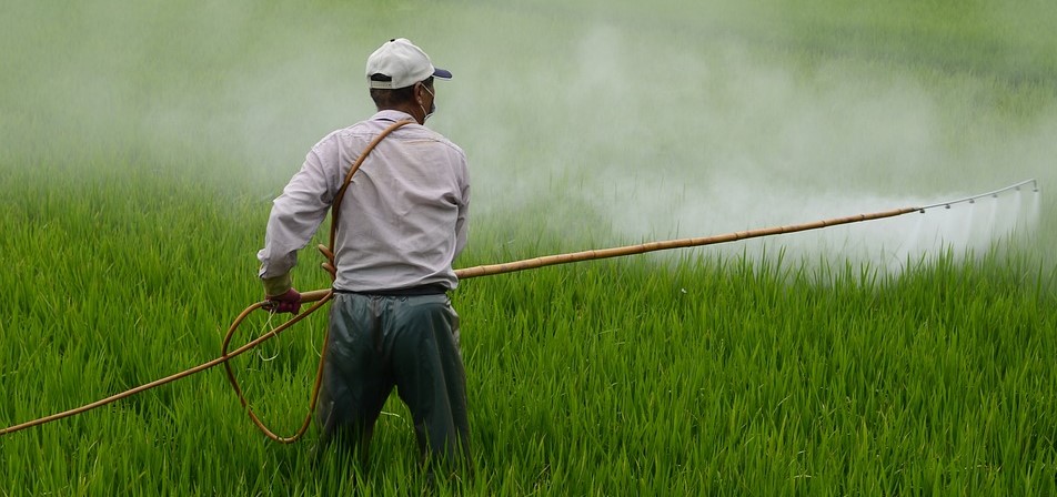How Pesticides Hurt Us All