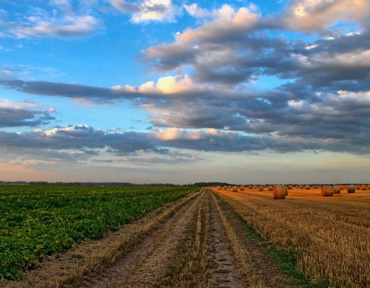 Citizen Suit Provisions: A Path Towards Environmental Accountability In Agriculture Law