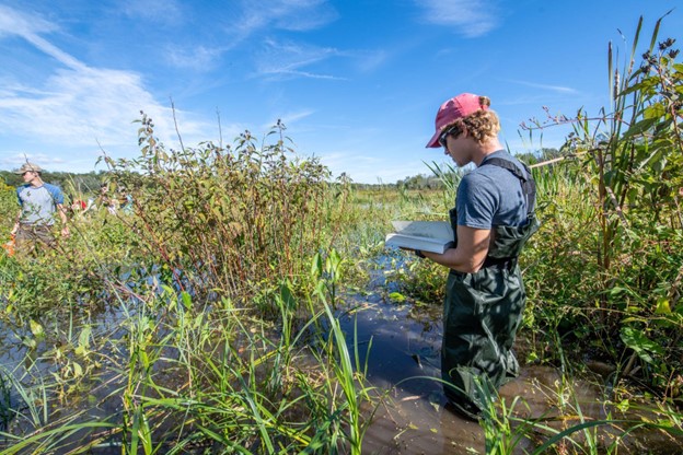 Is Congress Still Committed to Conservation? The Uncertain Future of Conservation in the Farm Bill 