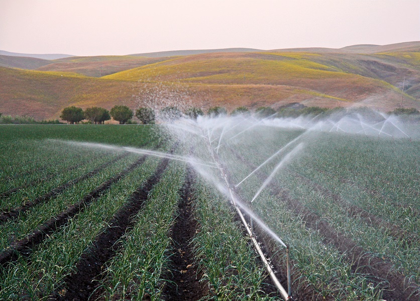 The Need for Improved Water Usage Practices in United States Agriculture