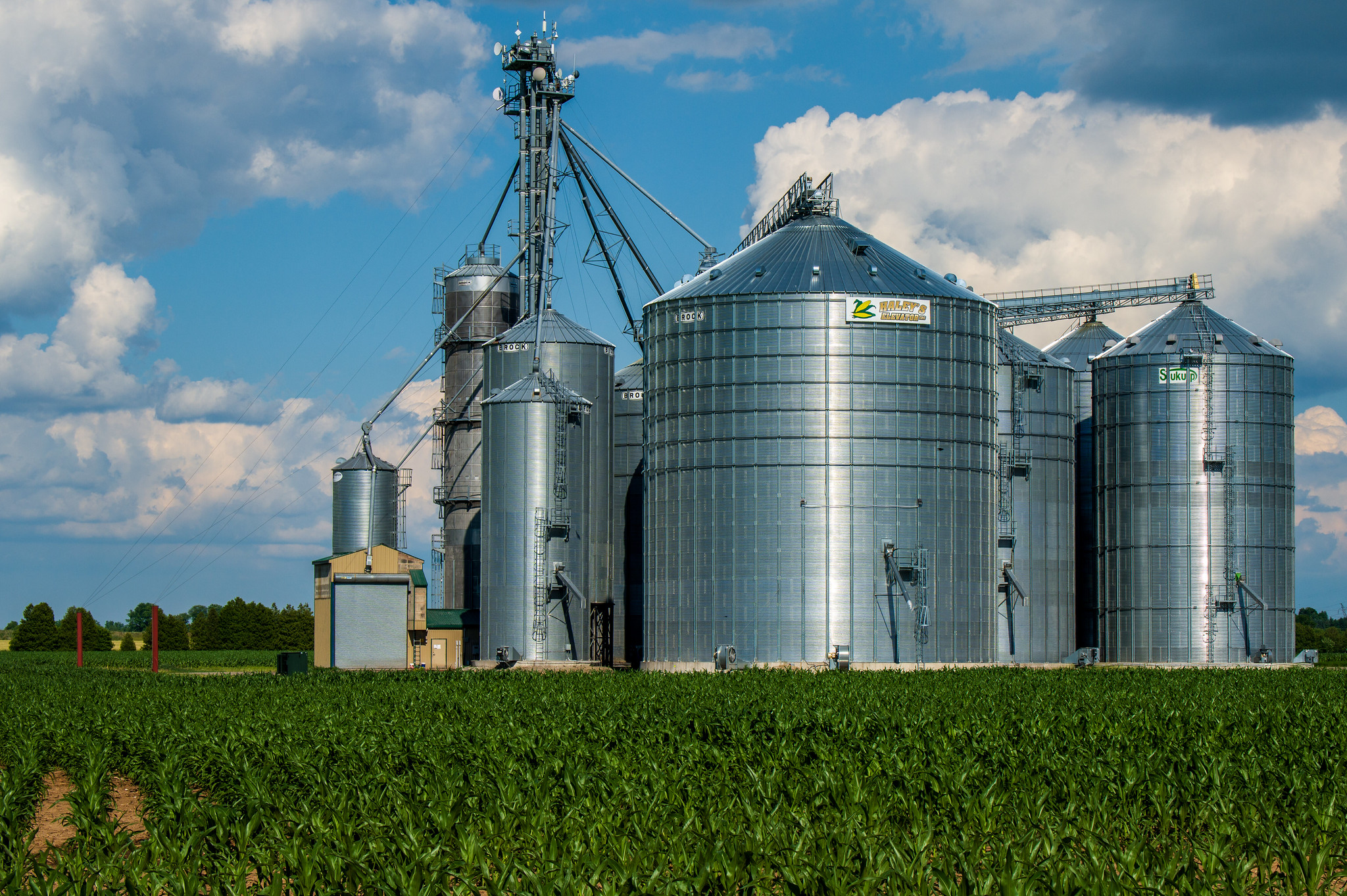 Data-Driven Analysis of Farm Practices in the Midwest